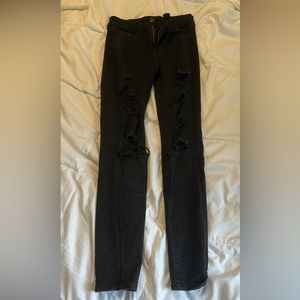 American eagle ripped begging